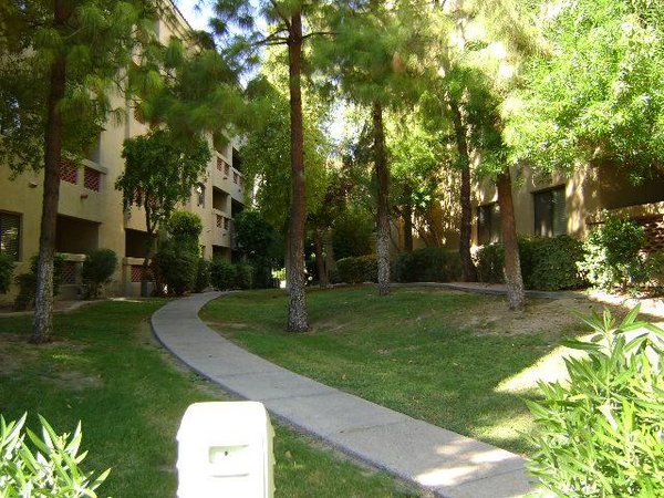 Field meridian condos