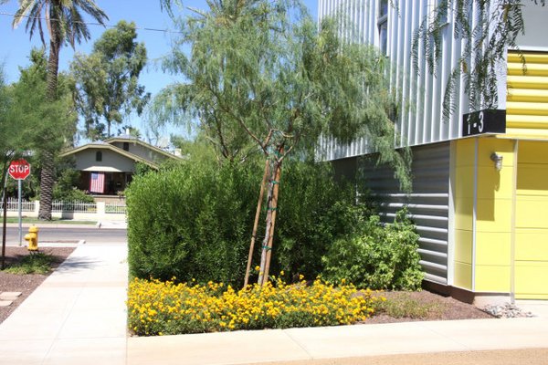 Garden prd 845 rowhomes